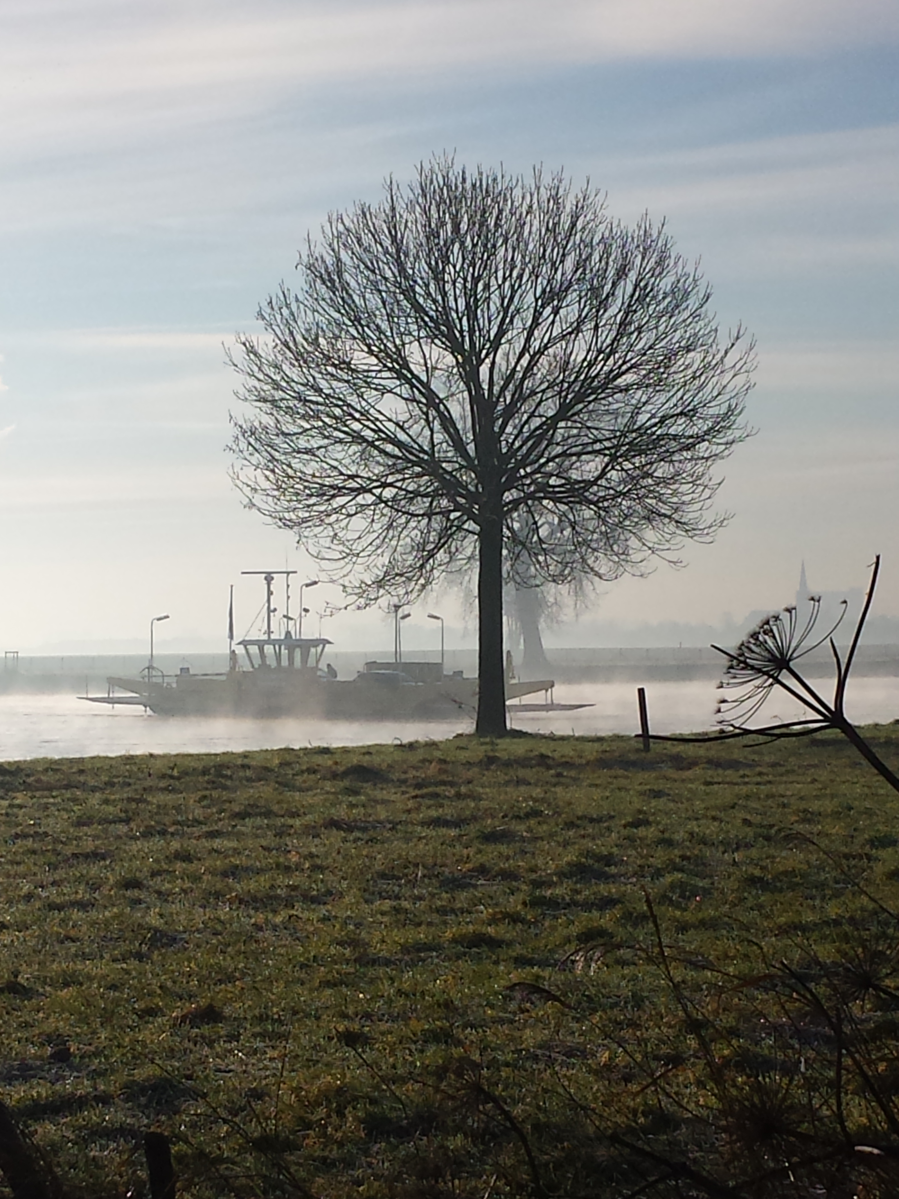 2014NWK 018.jpg